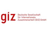 1giz